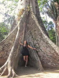 La féminité de la culture brésilienne - jardim botanico do Rio - InhaleTravel