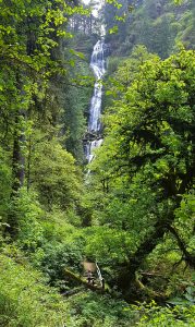 Séjour à Portland, oregon : vert et proche de la culture - InhaleTravel