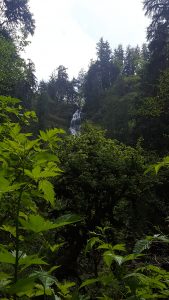Séjour à Portland, oregon : vert et proche de la culture, Tillamook - InhaleTravel