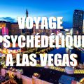Voyage psychédélique à Las Vegas - InhaleTravel