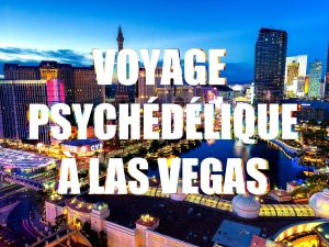 Voyage psychédélique à Las Vegas - InhaleTravel